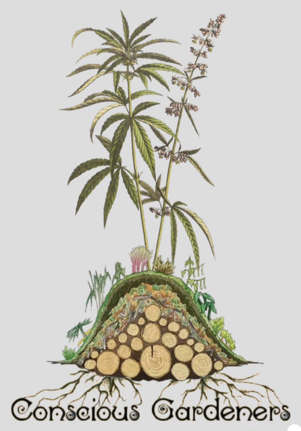 Welcome - Conscious Gardeners intended for Eco-Conscious Gardeners Discover the Power of Hemp Mesh for Plant Support