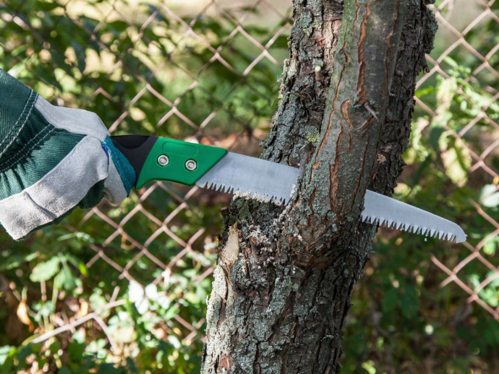 What Are Pruning Saws Used For: Tips On Using A Pruning Saw regarding Understanding the Benefits of Eco-Friendly Pruning Tools with Lifetime Warranties