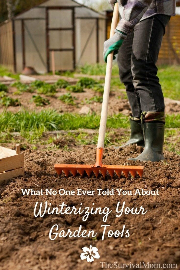 What No One Ever Told You About Winterizing Your Garden Tools - The ... for Storing Garden Tools Sustainably