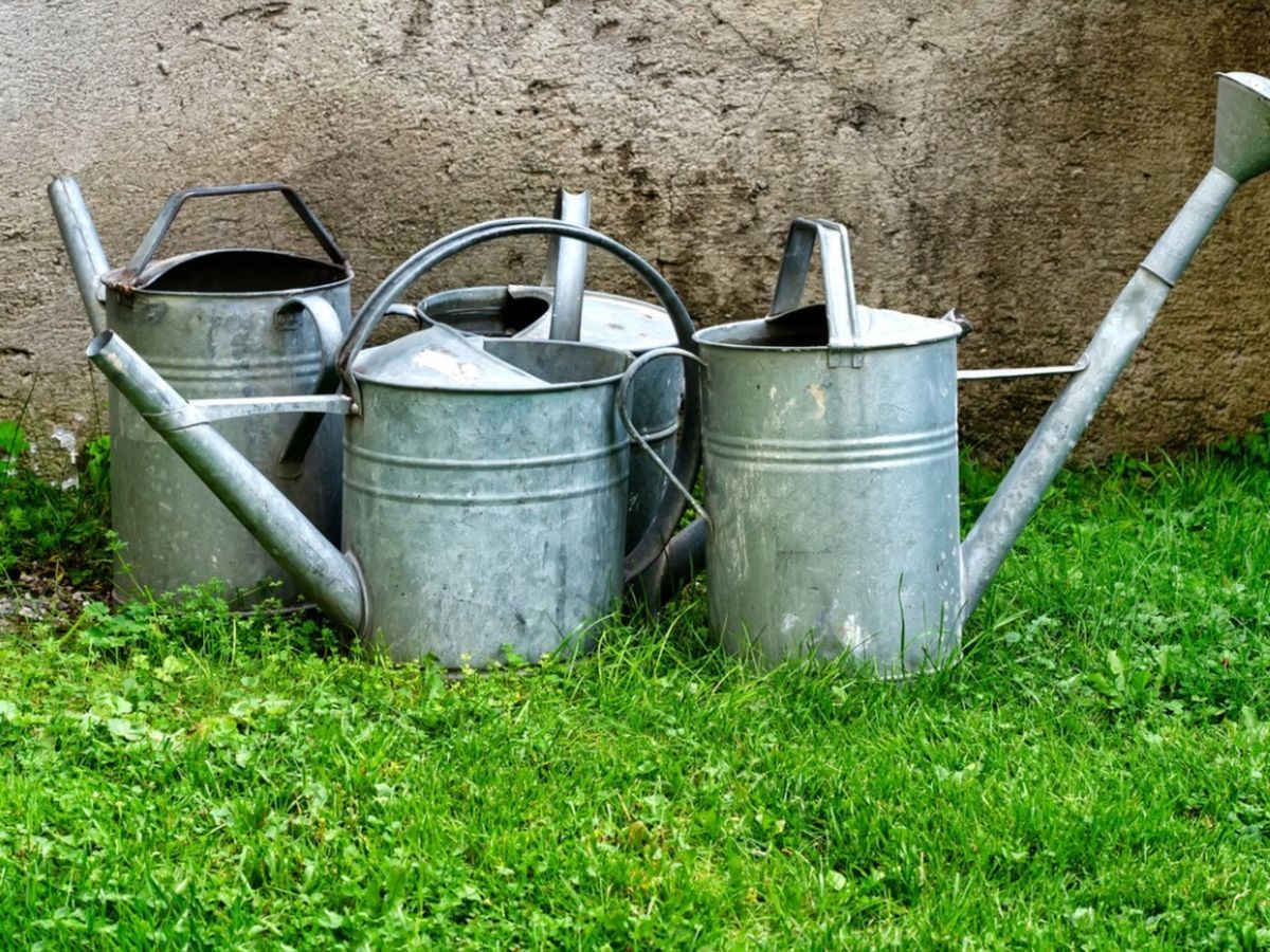 expert tips for selecting the best recycled metal watering can for your garden