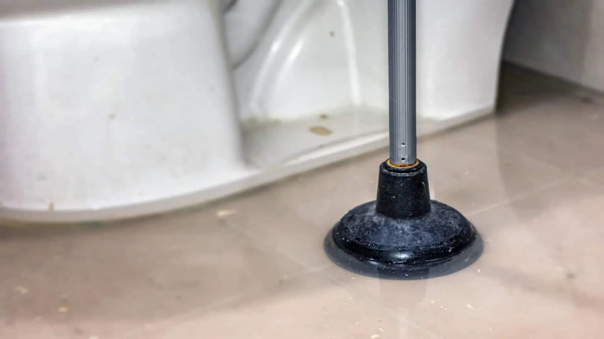 Why Your Bathroom Smells Like Sewage - Common Causes And Fixes For Foul ... pertaining to Remove Odor From Bathroom Drain