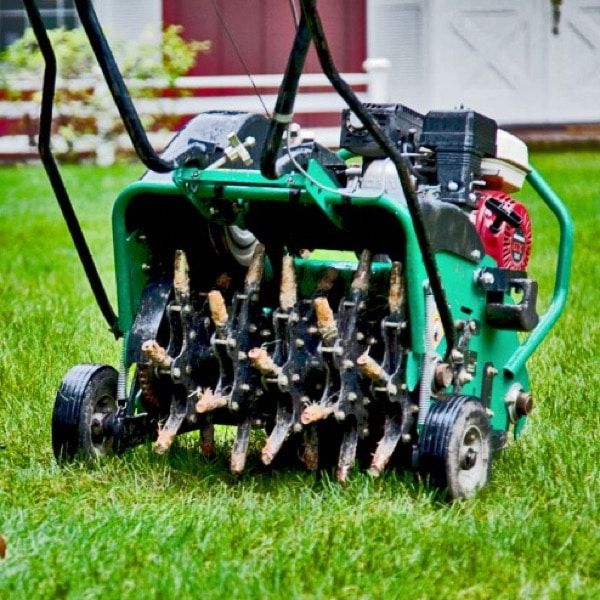 How to Choose the Right Organic Soil Aerator for Your Garden