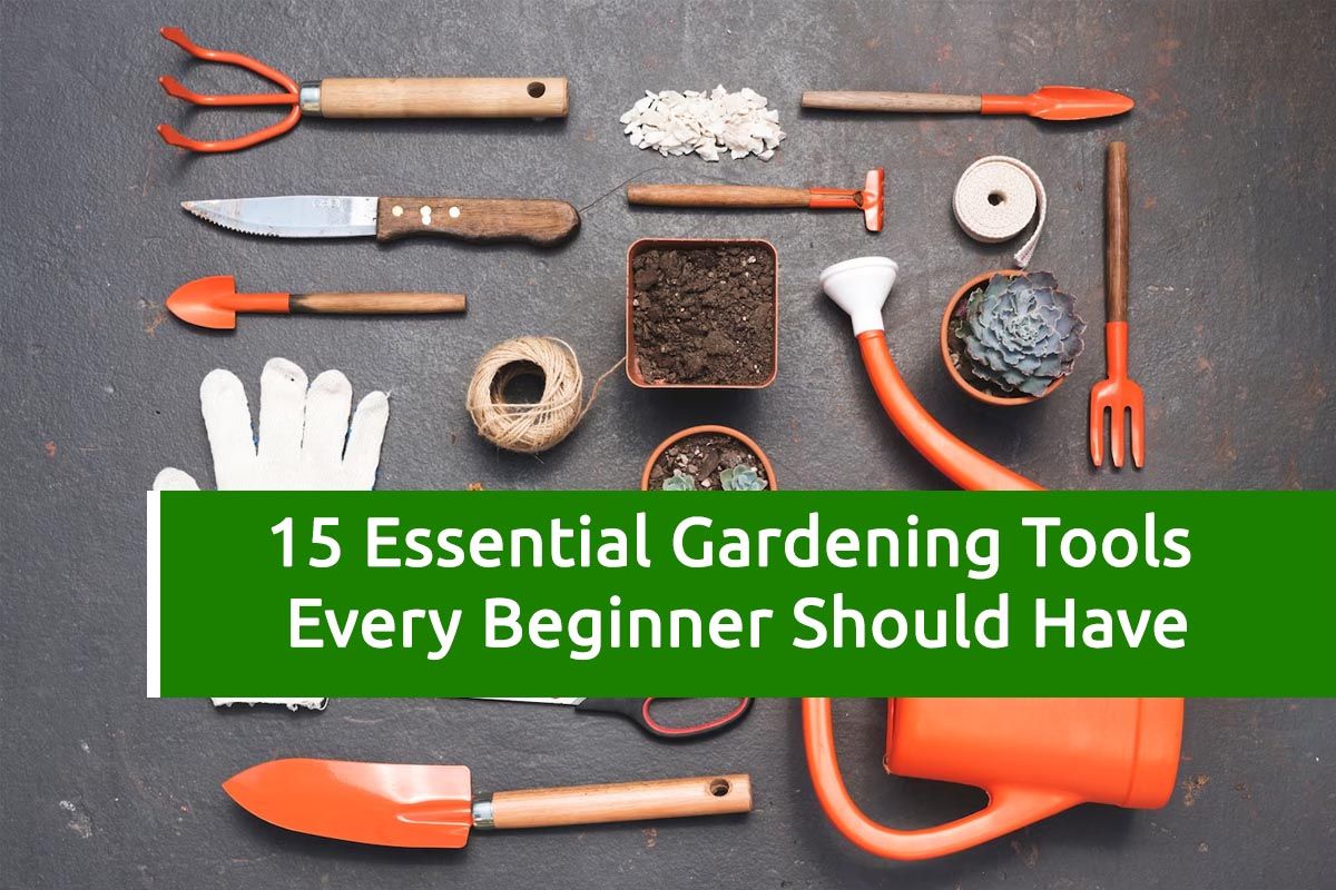Essential sustainable gardening tools every beginner should know