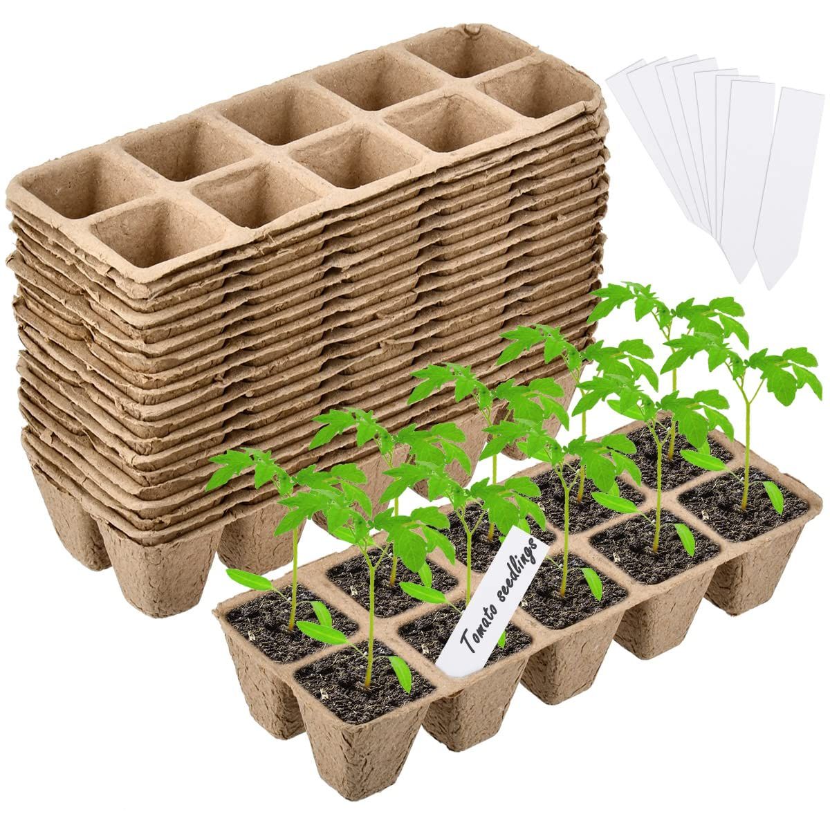 200Cells Seedling Trays, 20Pcs Seed Trays Biodegradable Seedling Pots ... in Compostable Seedling Trays Green