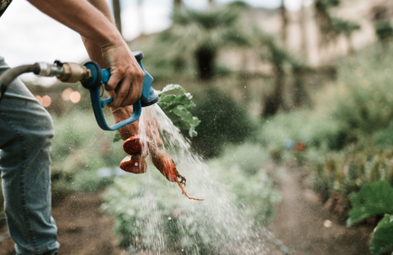 6 Best Non-Toxic Garden Hoses Free Of Lead (Drink-Safe) pertaining to Non Toxic Garden Hose Reel