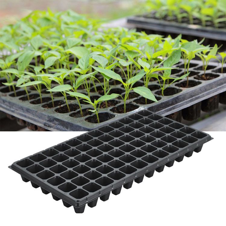 72 Cells Thermoformed Seed Tray Plant Grow Organic Nursery Pots Multi ... with Bamboo Seedling Tray Green