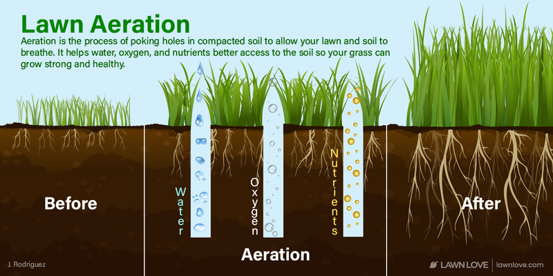 9 Easy Steps For Eco-Friendly Lawn Care in Eco-Friendly Soil Aerator Eco
