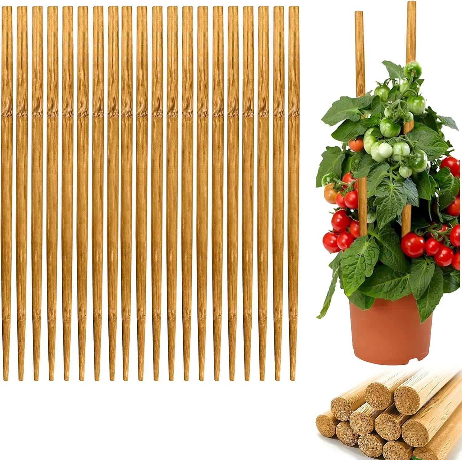 Amazon.com : Bamboo Stakes For Plants,20 Pack Garden Wood Bamboo Sticks ... intended for Bamboo Plant Support Stakes