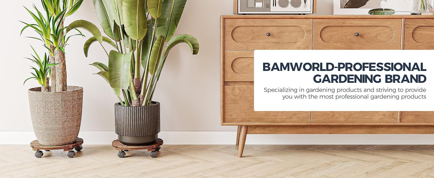 Amazon.com: Bamworld Plant Caddy With Wheels Plant Stand 2 Pack 12In ... intended for Understanding the Benefits of Bamboo Plant Caddy Green in Landscaping