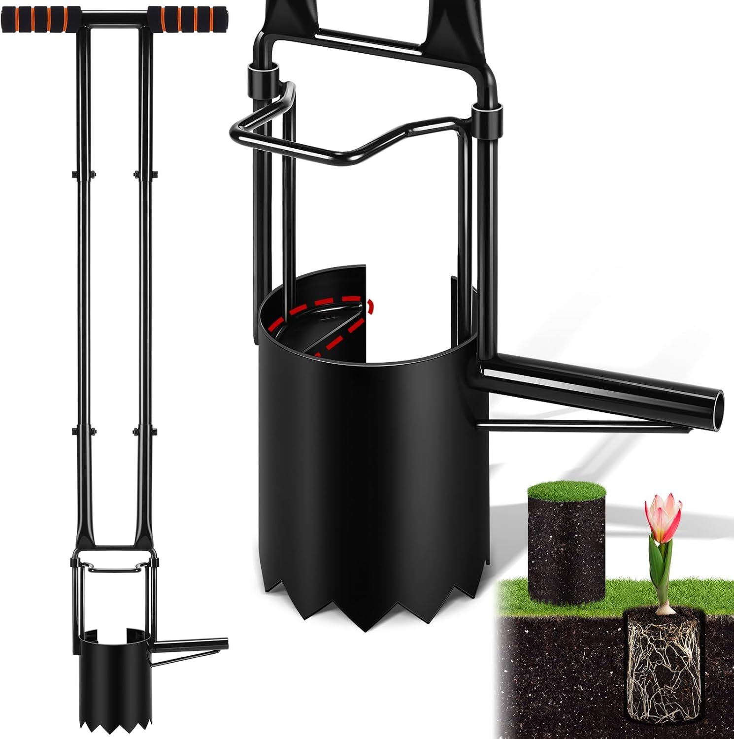 Amazon.com : Bulb Planter Tool Long Handle,Upgraded Serrated Base ... within The environmental impact of sustainable bulb planter tool in modern gardening