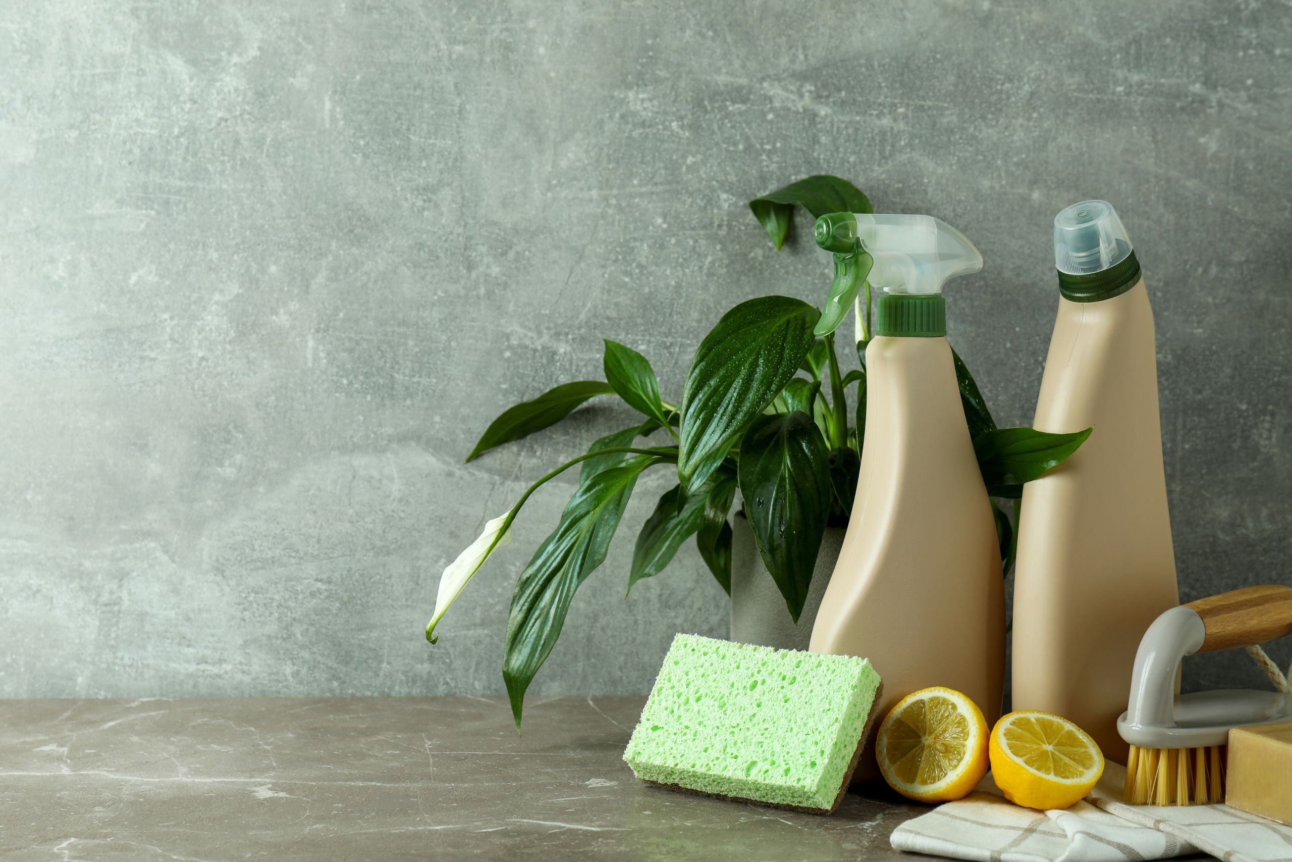 Exploring the Environmental Impact of Traditional vs Eco-Friendly Cleaning Tools