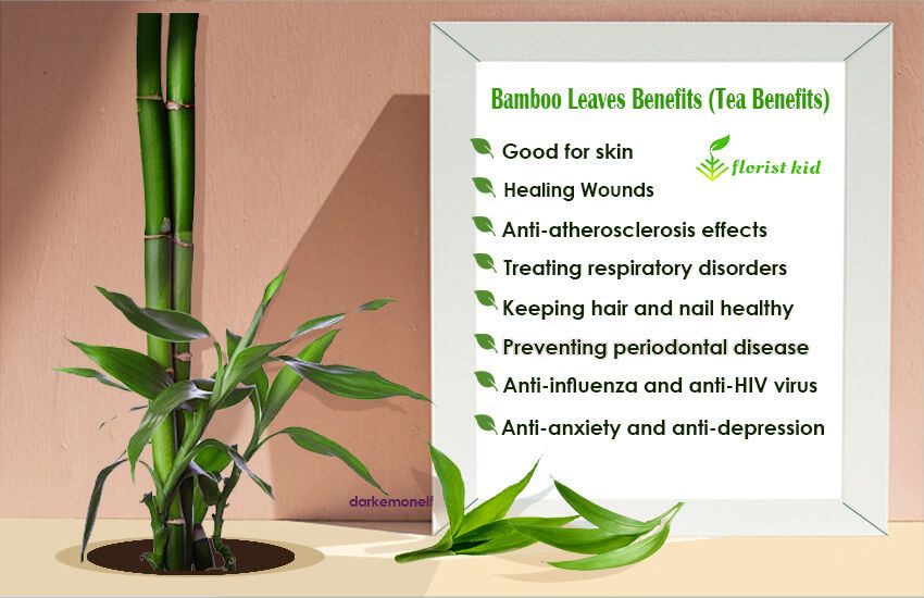 Benefits Of Bamboo To The Environment At Laura Burke Blog inside Understanding the benefits of bamboo plant caddies in eco-friendly landscaping