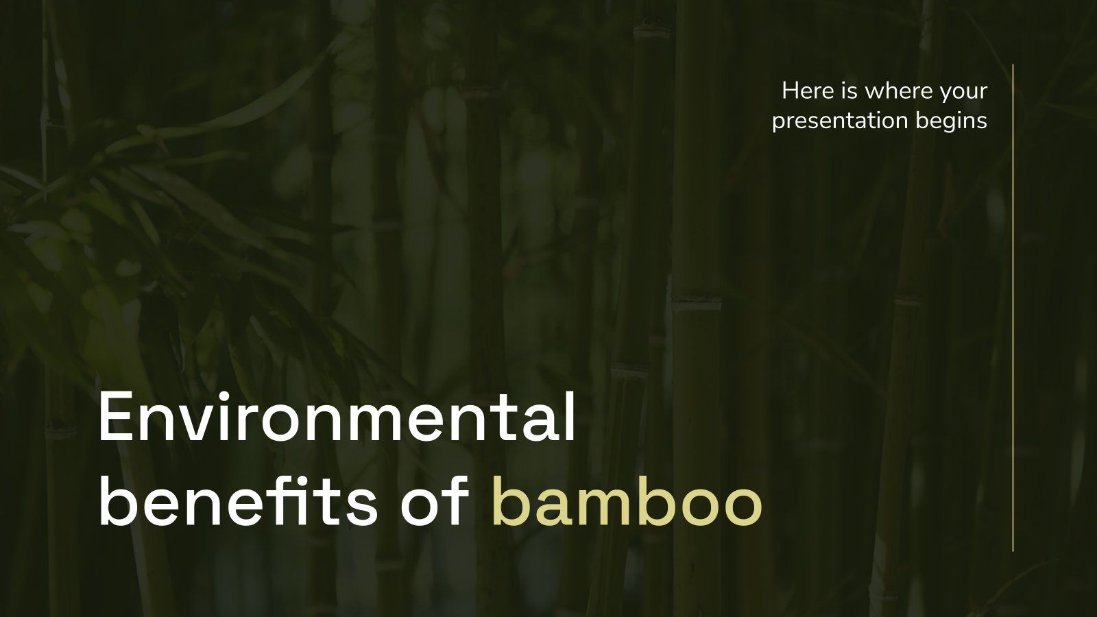 Benefits Of Bamboo To The Environment At Laura Burke Blog with regard to The Environmental Benefits of Using Bamboo Instead of Traditional Planters