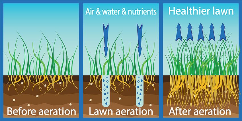 Understanding Solar Soil Aeration Technology for Better Grass Health