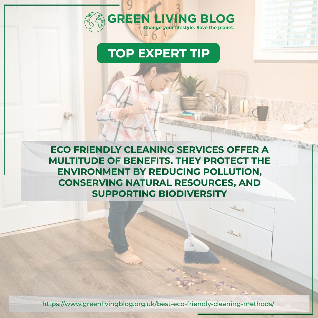 Best Eco Friendly Cleaning Tools At Martha Ehrlich Blog with Exploring the Environmental Impact of Traditional vs Eco-Friendly Cleaning Tools