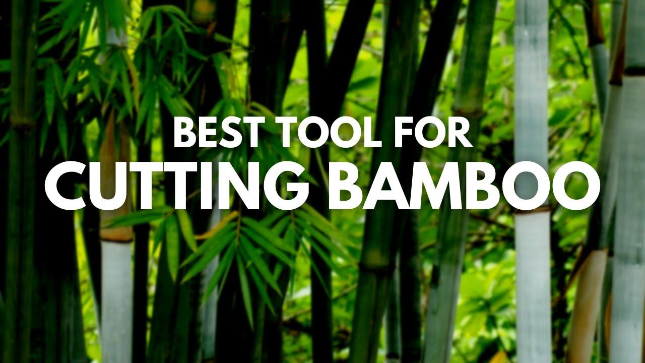 Best Tool For Cutting Bamboo | Top 5 Best Tool For Cutting Bamboo - Youtube throughout Bamboo Garden Tool Grips
