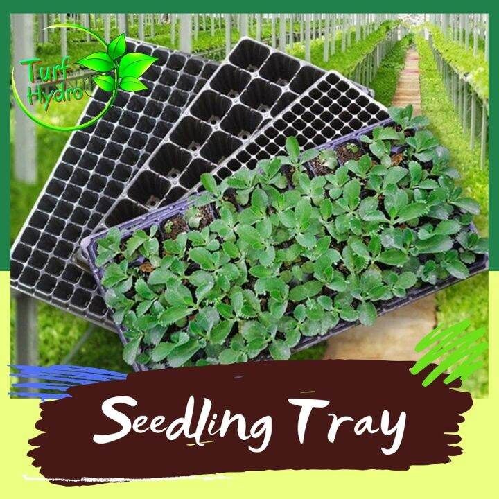 Biodegradable Seedling Tray 32/50/72/128 Cells W/ Holes High Quality ... with regard to Reducing waste in gardening with biodegradable seedling trays