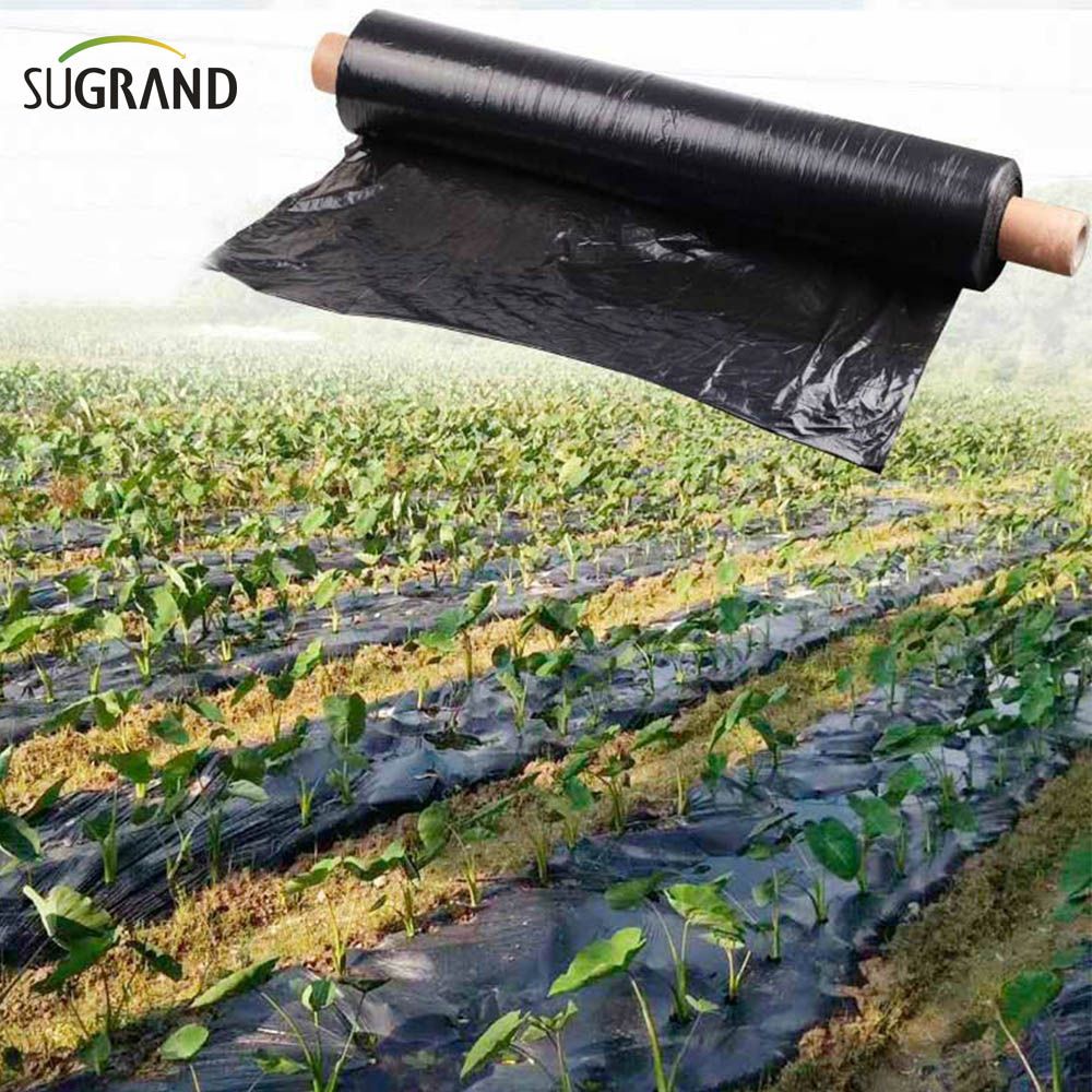 How biodegradable mulch film eco is transforming sustainable agriculture practices