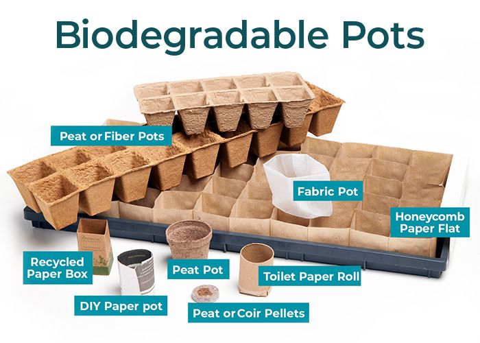 Comparing compostable seedling cups with traditional plastic alternatives