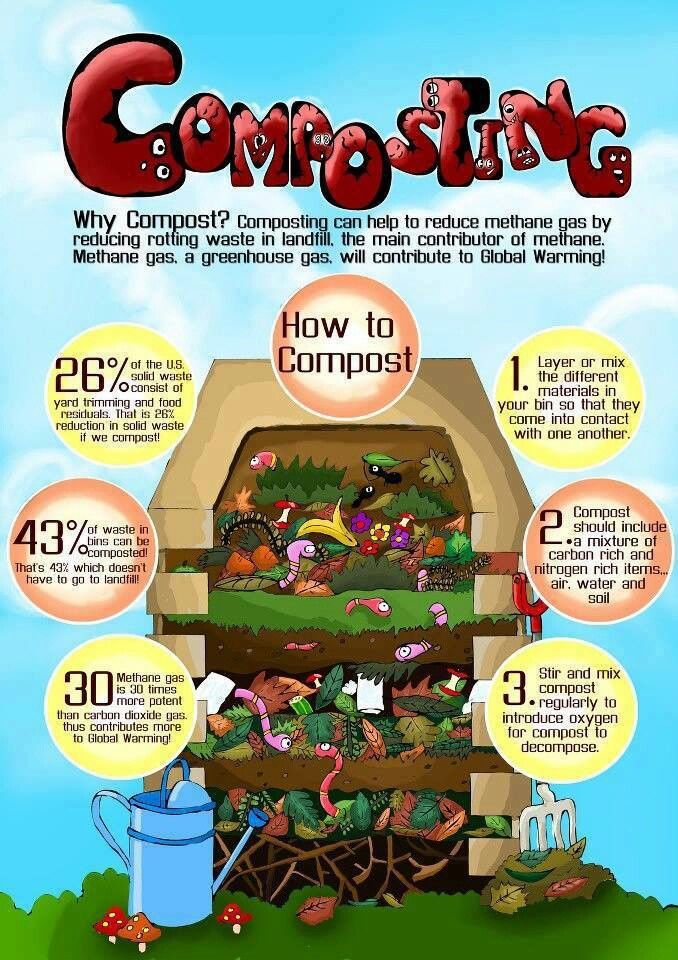 Compost Infographic | Gardening | Composting - Turn Your Spoil Into S… with Compostable Plant Labels Eco