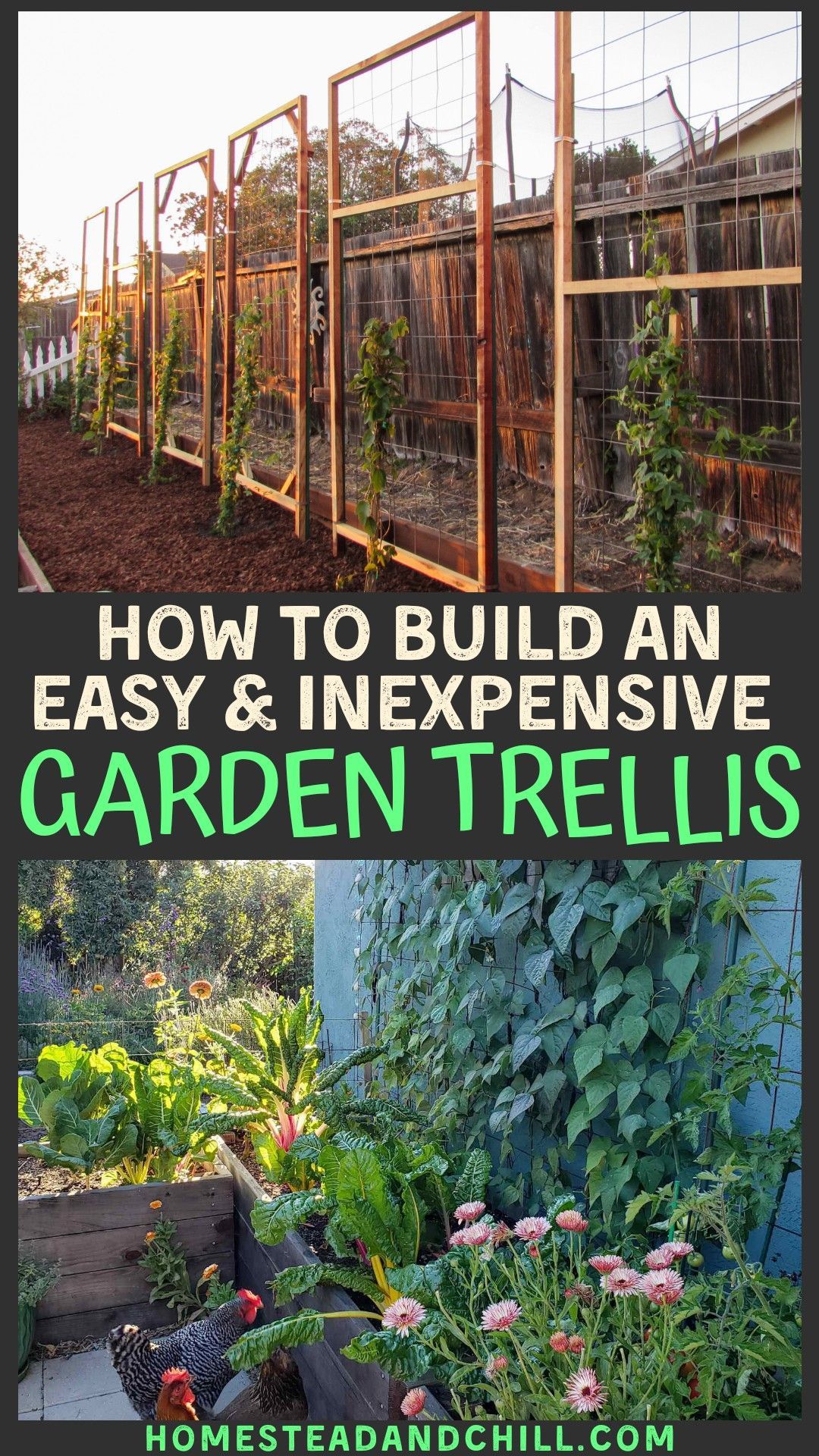 Diy Garden Trellis: Easy And Inexpensive Designs intended for Step-by-Step Guide to Creating Durable Wood Garden Trellises