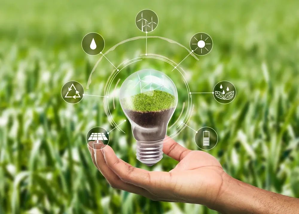 Eco-Friendly Vs. Sustainable: What's The Real Difference? (A Beginner's ... with Non Toxic Garden Tool Oil Green