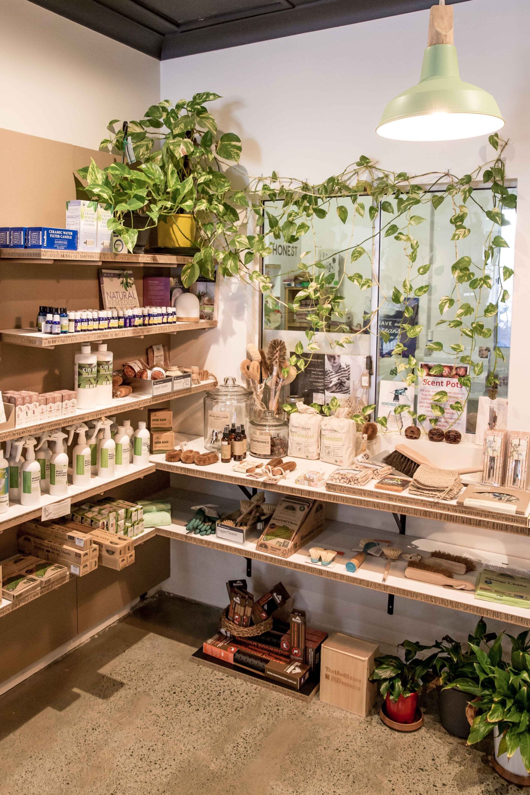 Eco Retail Store Display With Plants. Image Taken By Kira Simpson From ... with regard to Designing Eco-Friendly Plant Displays with Recycled Plastic Caddies