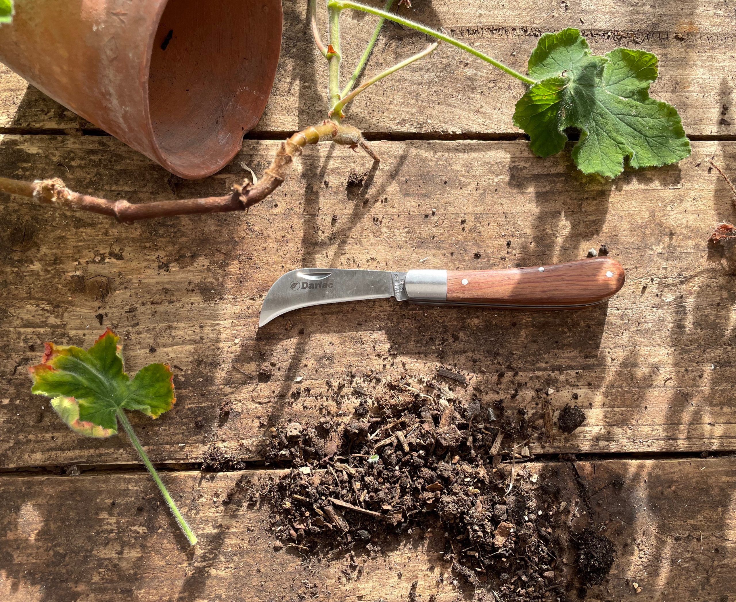 Folding Pruning Knife - Little Garden Shop | Claudia De Yong Designs with regard to How Sustainable Pruning Knife Technology is Shaping Modern Gardening Practices