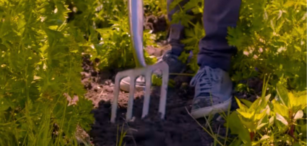 Mastering the art of sustainable gardening with hand fork techniques