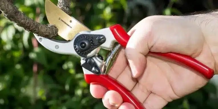 Garden Hand Pruners Buying Guide inside Choosing the Right Sustainable Garden Hand Pruner for Your Green Thumb