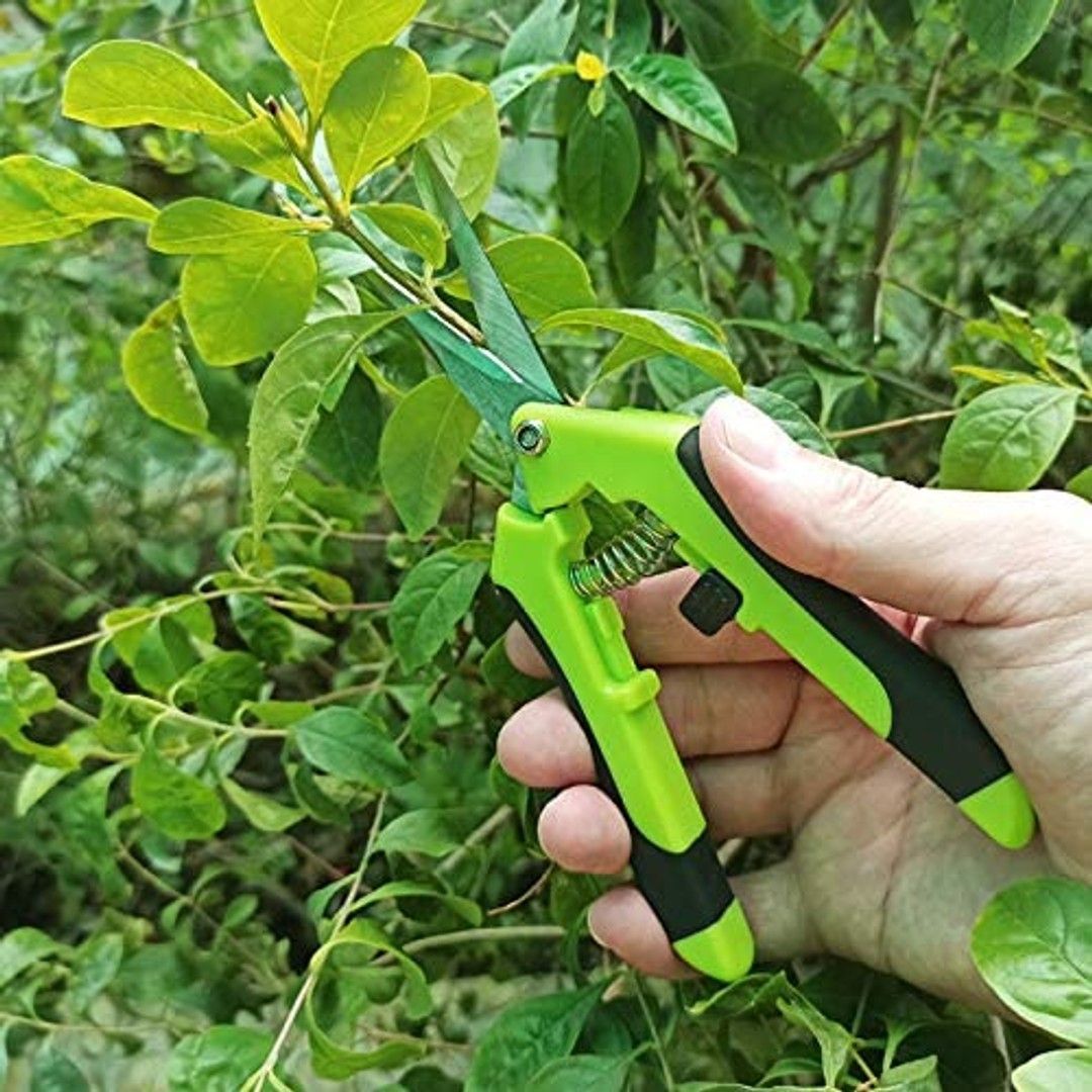 Gardening Hand Pruner Pruning Shear Stainless Steel Blades | The Warehouse intended for Choosing the Right Sustainable Garden Hand Pruner for Your Green Thumb