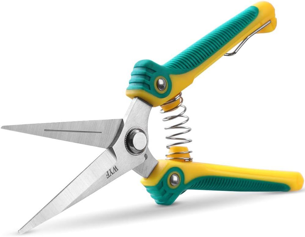 Gardening Hand Pruner With Stainless Steel Blades - House Plants Expert for Choosing the Right Sustainable Garden Hand Pruner for Your Green Thumb