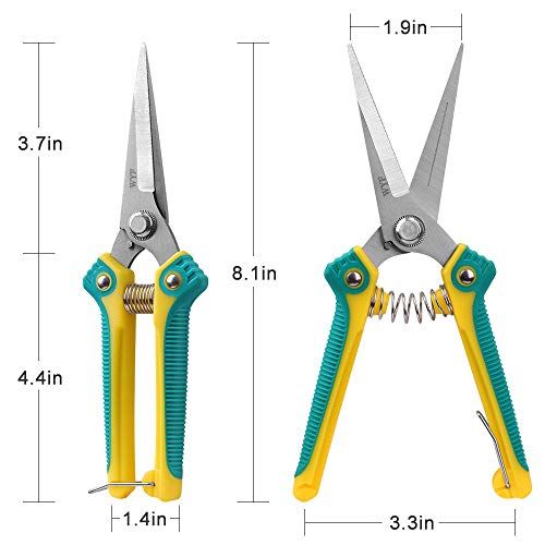 Gardening Hand Pruner With Stainless Steel Blades - House Plants Expert inside Choosing the Right Sustainable Garden Hand Pruner for Your Green Thumb