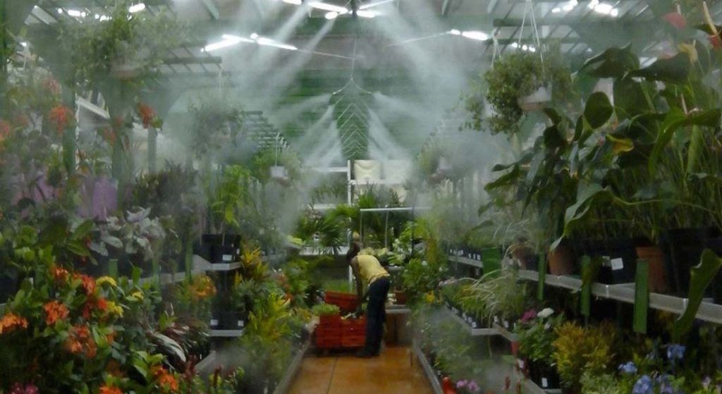 Greenhouse Misting System – Greenhouse Gardening Tips for Misting System For Eco Greenhouse