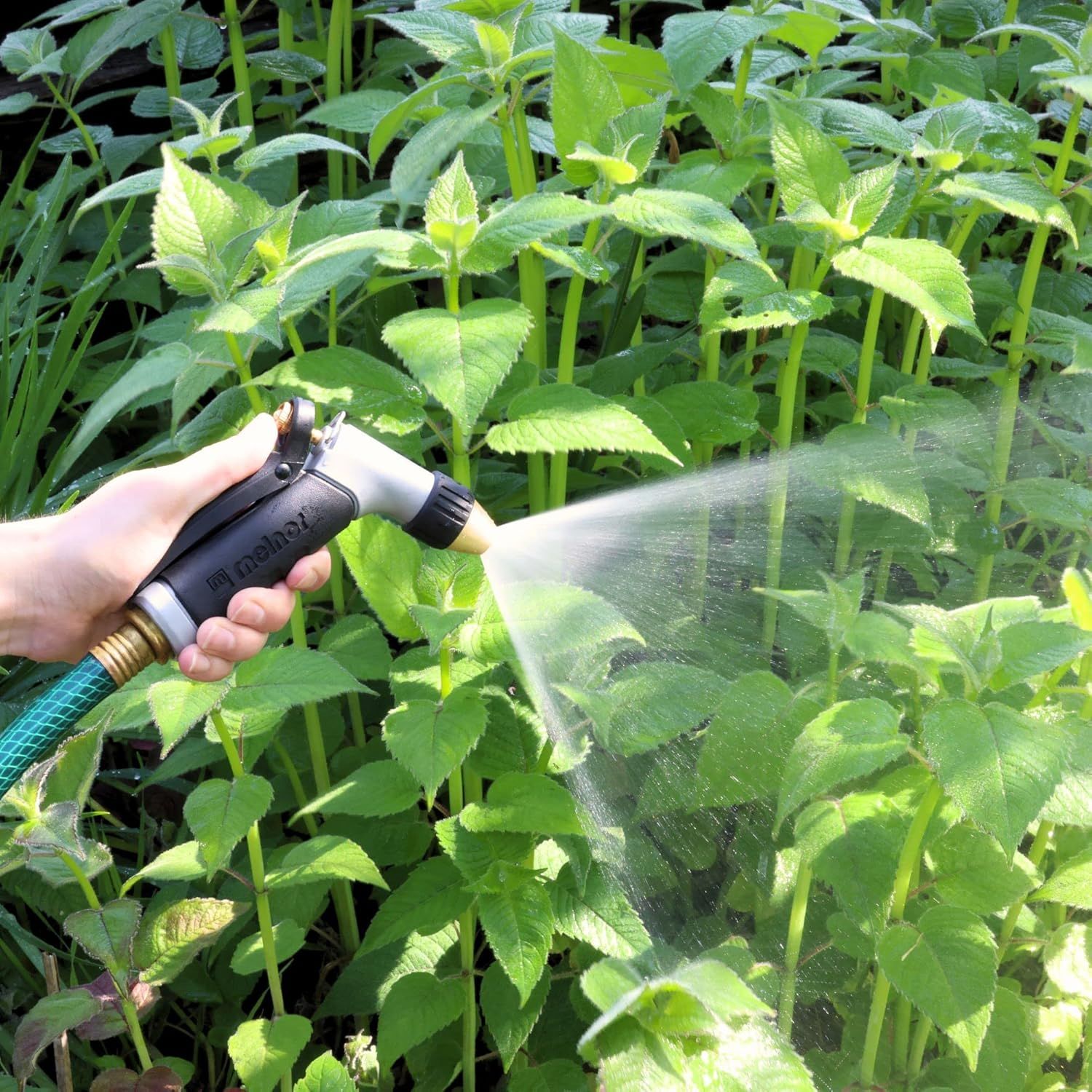 Guide To Choosing And Using Garden Nozzles - Tool Box pertaining to How to choose the right nozzle for sustainable watering
