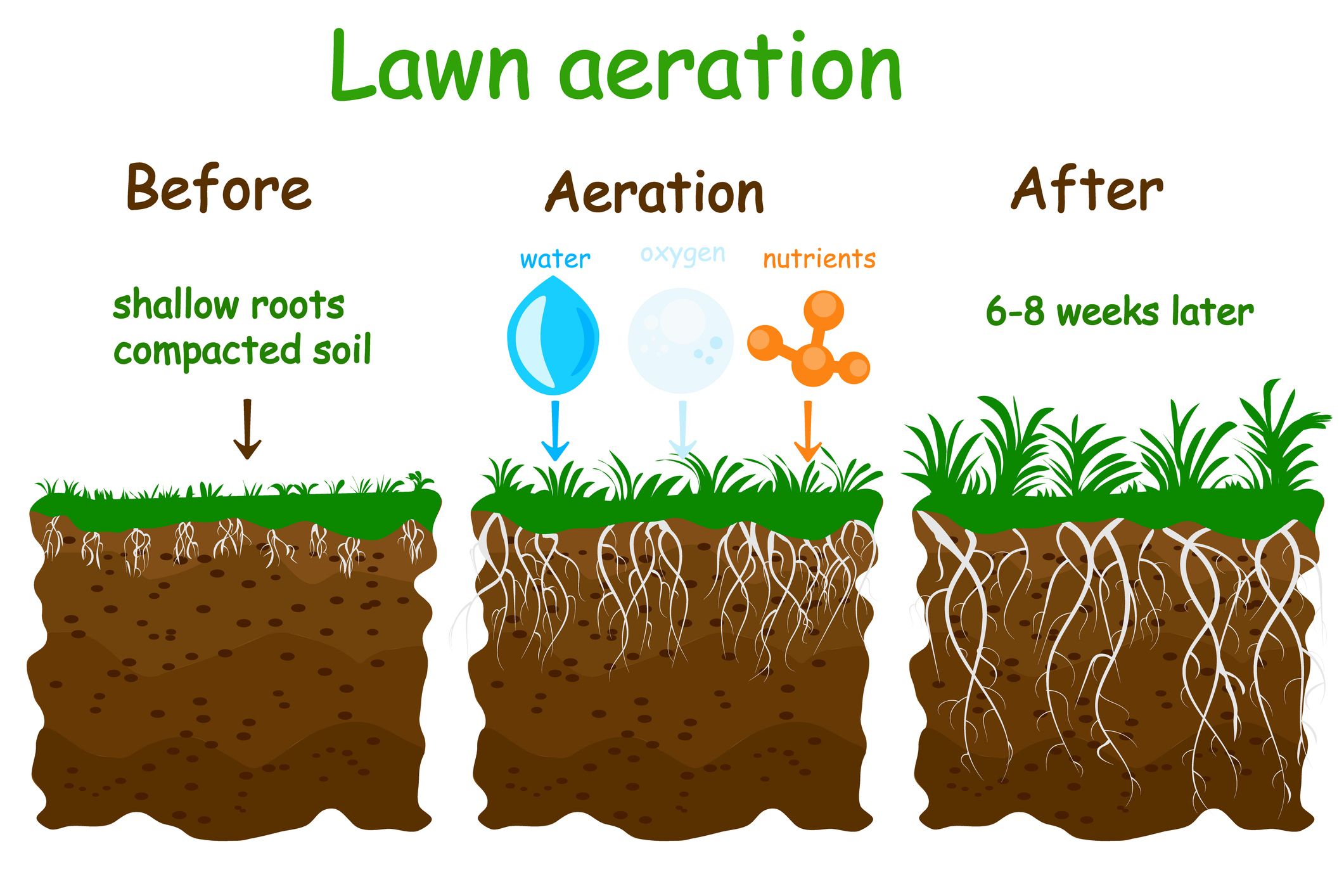 How Effective Is Lawn Aeration At Randall Tran Blog throughout Solar Powered Soil Aerator