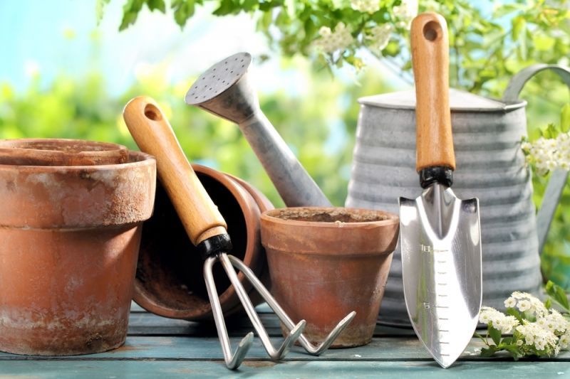 How To Choose The Right Garden Tools - Birkacre Garden Centre for Choosing the right sustainable garden tool sharpener for your eco-conscious garden