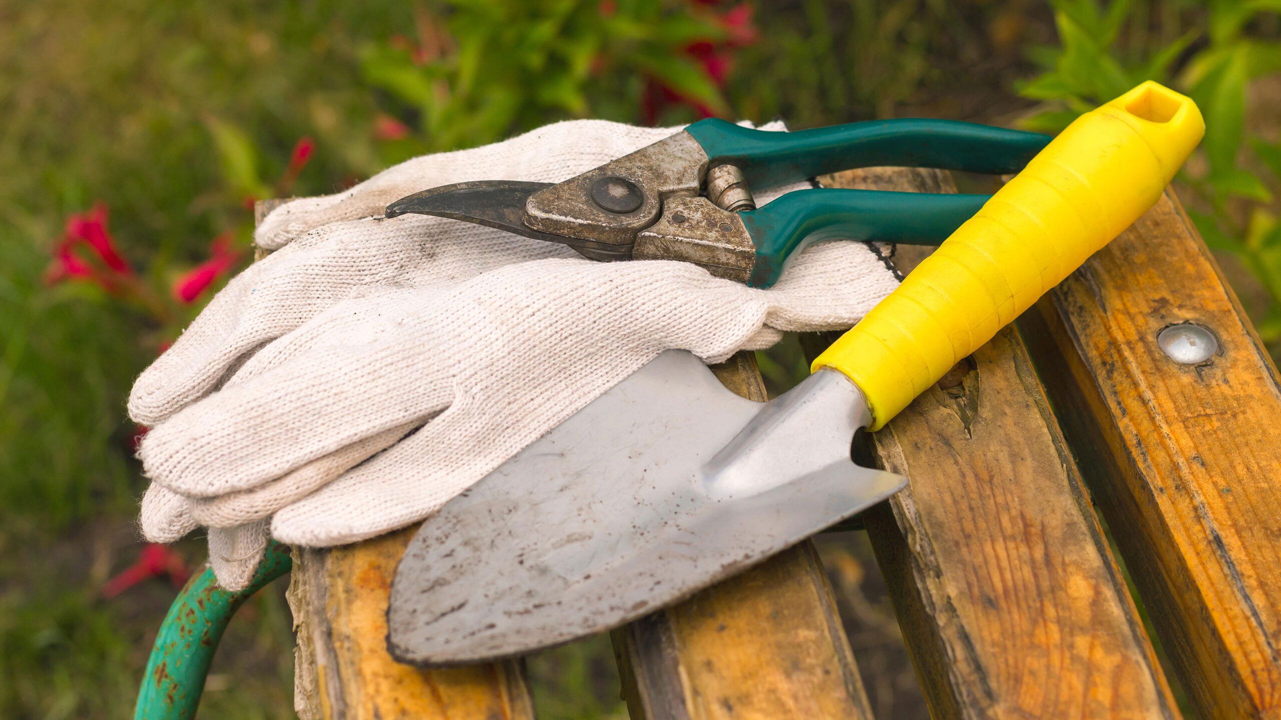 How To Clean Garden Tools And Keep Them In Perfect Condition | Gardeningetc regarding Safe and effective ways to sanitize garden tools using nature's ingredients
