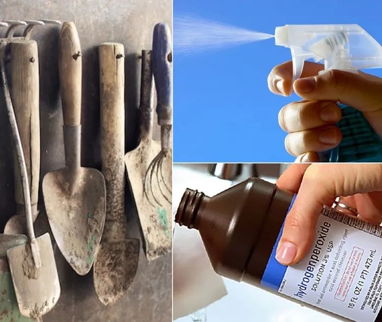 Safe and effective ways to sanitize garden tools using nature’s ingredients