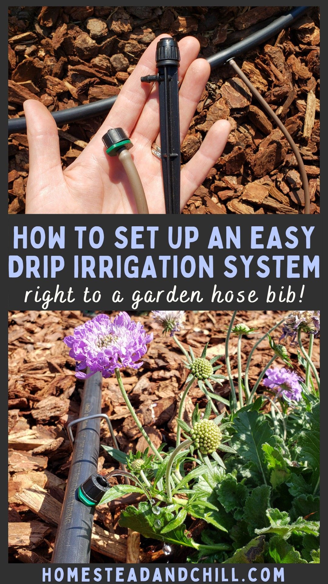 How To Efficiently Water Your Garden – Artofit pertaining to Sustainable Drip Irrigation Hose