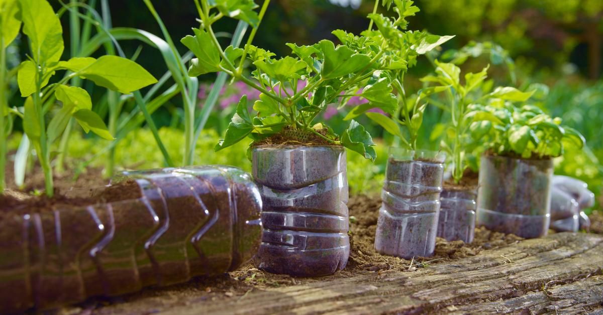 How To Make A Plastic Bottle Garden For Sustainable Gardening with regard to Understanding the environmental impact of recycled plastic garden tools