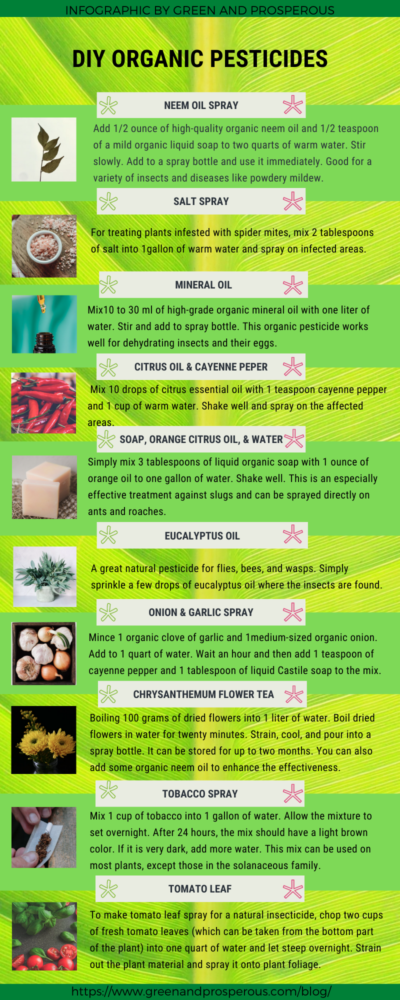 DIY Guide to Creating Effective Natural Pest Sprays for Your Garden