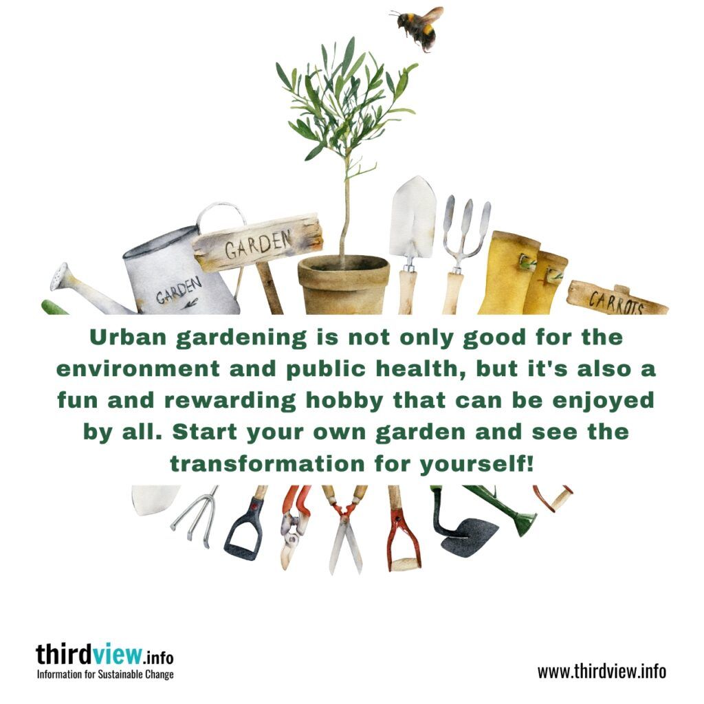 How Urban Gardening Can Transform Your City - Thirdview for Understanding the environmental impact of gardening tools