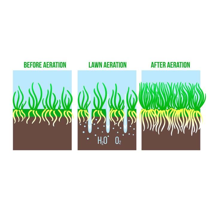 Improve Grass Health &amp; Soil Nutrients With The Best Lawn Aeration In ... regarding Understanding Solar Soil Aeration Technology for Better Grass Health