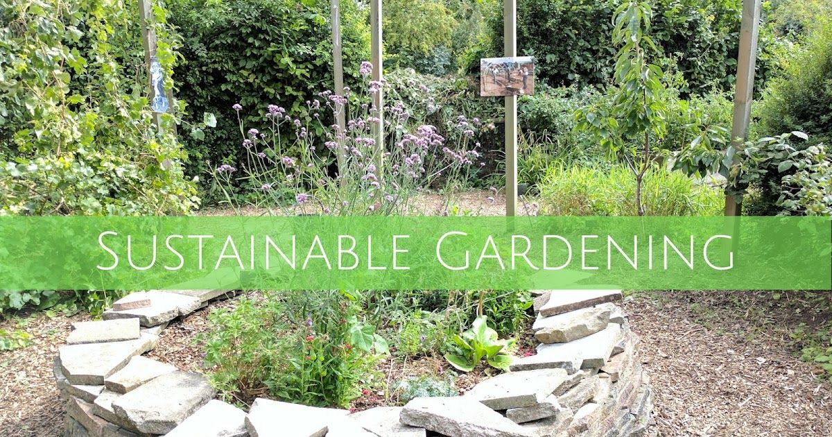 Jibberjabberuk: Sustainable Gardening in Expert insights on choosing sustainable garden equipment