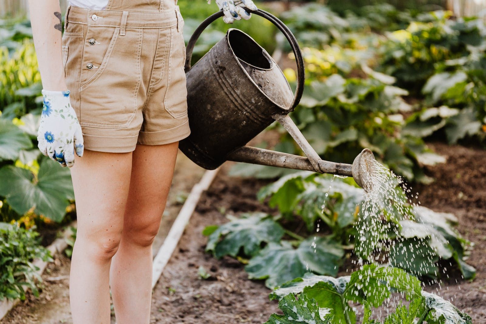 Mastering Sustainable Garden Practices: The Ultimate Guide - Decorvin pertaining to How Long Handles Enhance Sustainable Gardening Practices