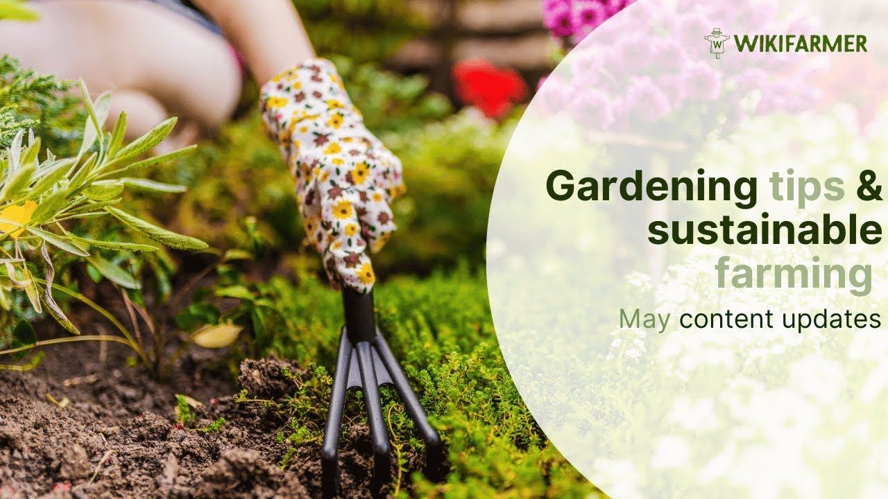 Expert insights on choosing sustainable garden equipment