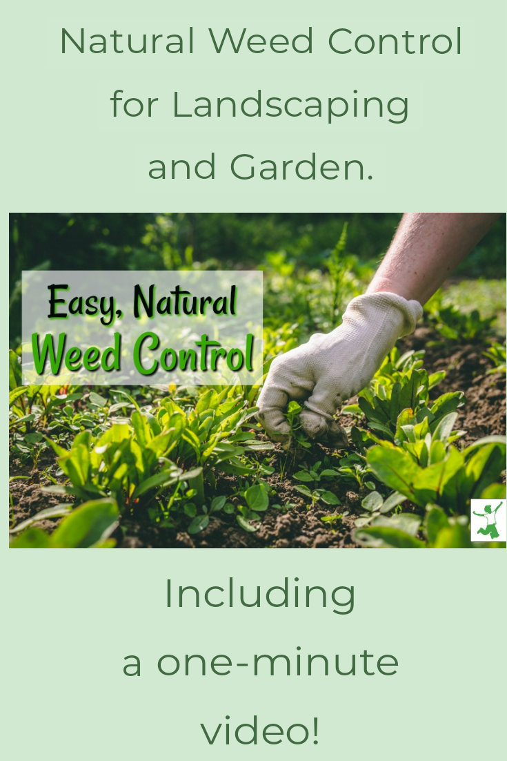 Natural weed control methods that actually work in 2025