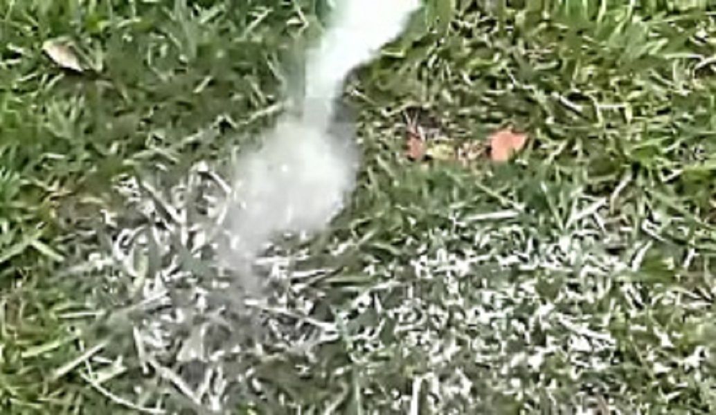 Permanent Weed Removal Solutions: Smart And Natural Strategies For A ... inside Natural weed control methods that actually work in 2025