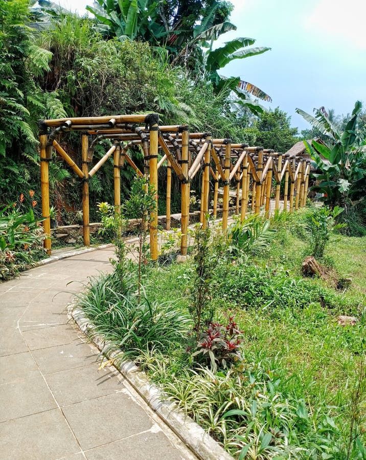 Scenic Bamboo Bridge And Garden Pathway - Eco-Friendly Architecture For ... for Understanding the benefits of bamboo plant caddies in eco-friendly landscaping